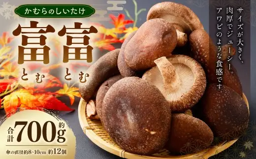 かむらのシイタケ富富 約700g 【2026年10月上旬～2027年1月下旬迄発送】 椎茸 しいたけ シイタケ きのこ キノコ 冷蔵 国産 