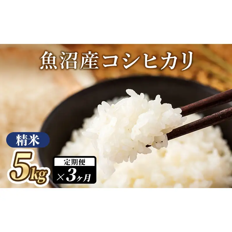 魚沼産コシヒカリ（精米）5kg×3か月 米 こしひかり 定期便 定期 魚沼市