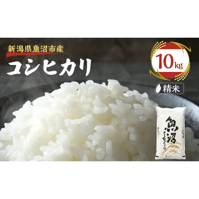 令和8年産【雪国逸品　精米10kg】越後魚沼郷 魚沼産コシヒカリ