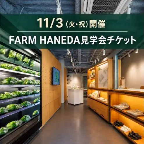 【11/3(火・祝)開催】FARM HANEDA見学会チケット 見学 収穫 体験 体験チケット 植物工場 野菜 栽培 レタス ラディッシュ サラダホウレンソウ 大田区 東京都