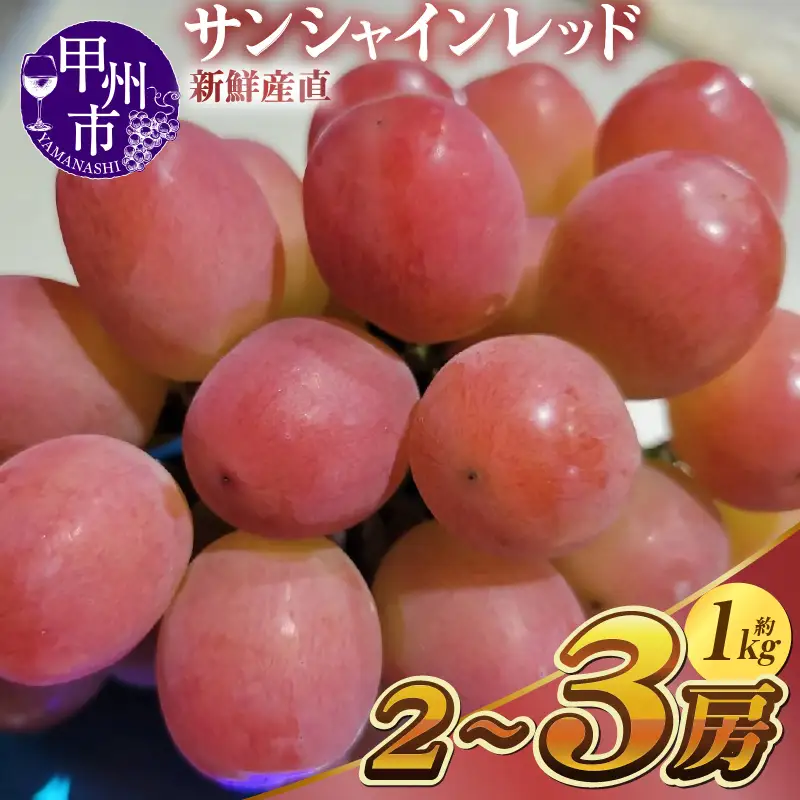 新鮮産直甲州市！サンシャインレッド 約1kg 2～3房【2027年発送】（KSF）C-462 サンシャインレッド フルーツ