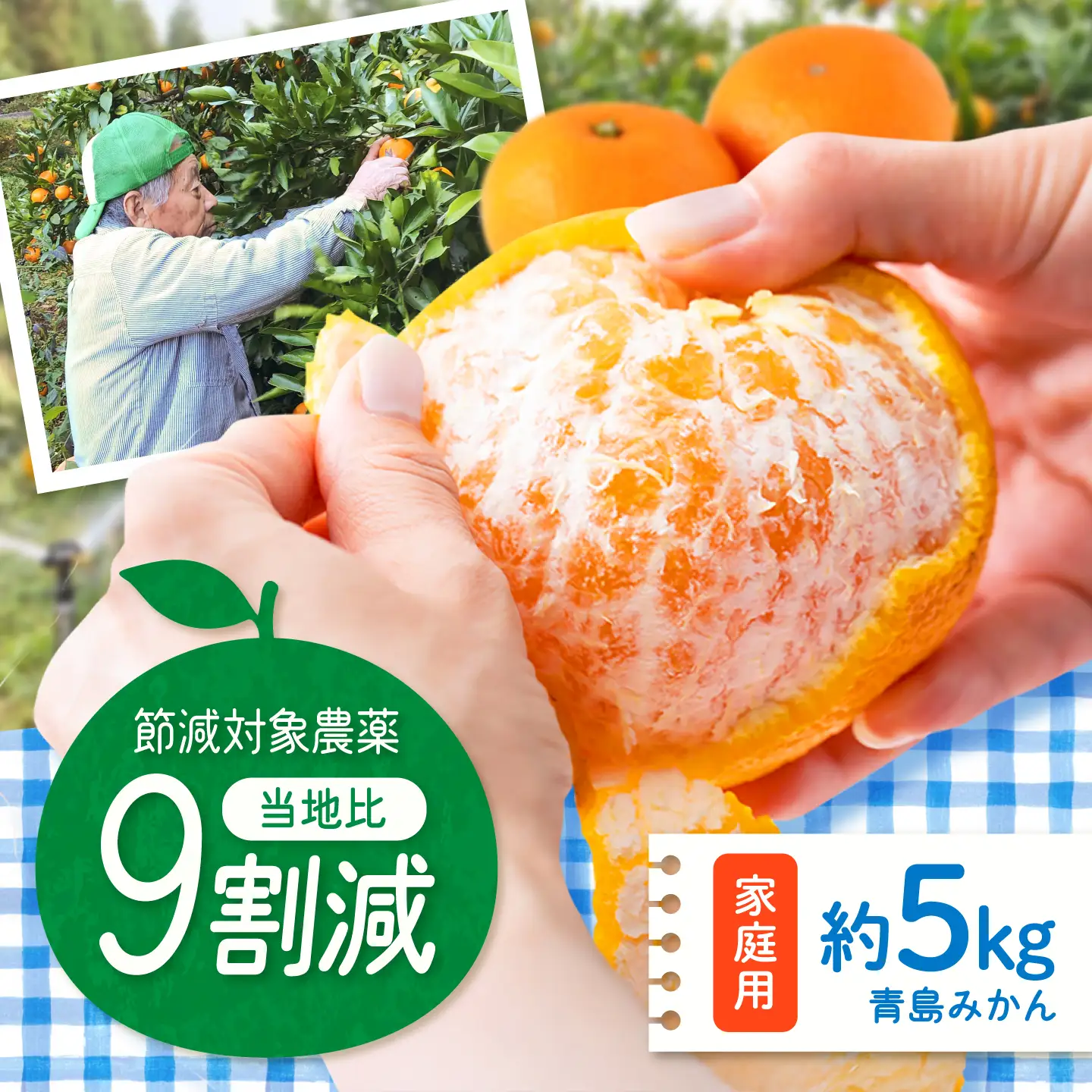 【12月上旬から1月上旬にかけて順次発送】【ご家庭用】 青島みかん 約5kg 広川町 / やまんた農園[AFCP002]
