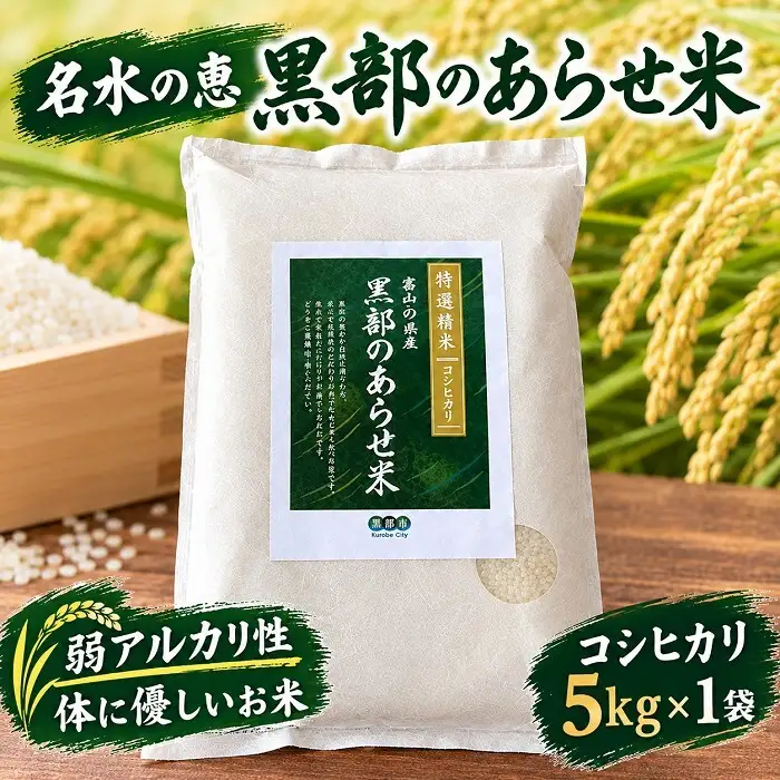 藍藻育ち 富山県黒部産こしひかり (名水の恵み 黒部のあらせ米) 5kg