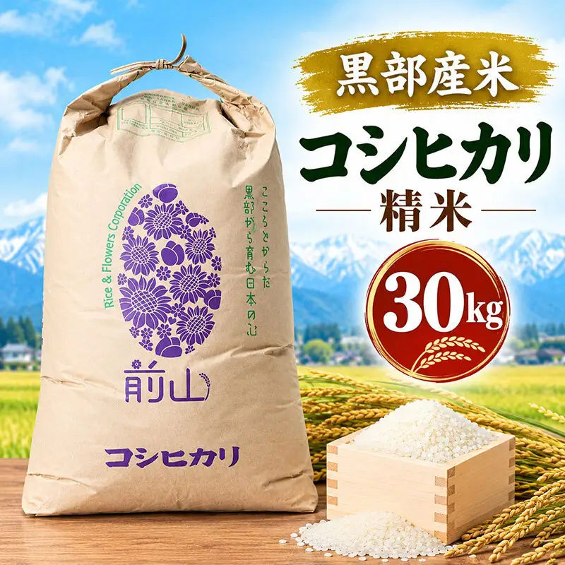 黒部産米 令和8年産コシヒカリ 精米 30kg お米 コメ 白米 こしひかり ご飯 ごはん 富山県 黒部市