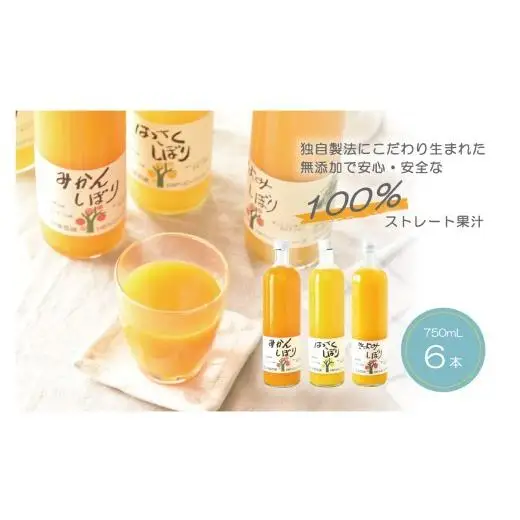 N322 ３種の１００％ピュアジュース　７５０ｍｌ　６本入り