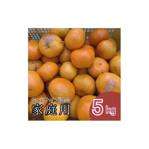 N033 【まごころ手選別】有田みかん５ｋｇ（Ｓ～Ｌサイズ混合）家庭用