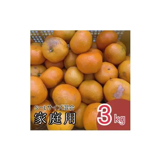 N001 【まごころ手選別】有田みかん３ｋｇ（Ｓ～Ｌサイズ混合）家庭用