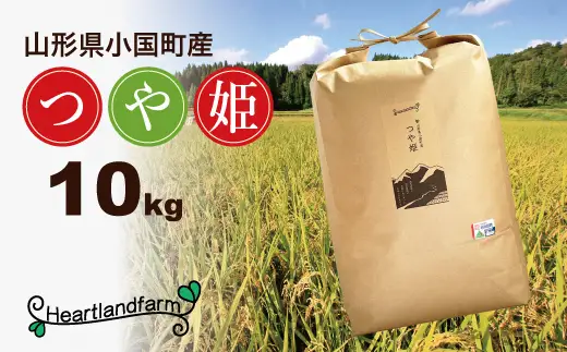 【令和８年産 新米】山形県小国町産 つや姫10kg　小国地産