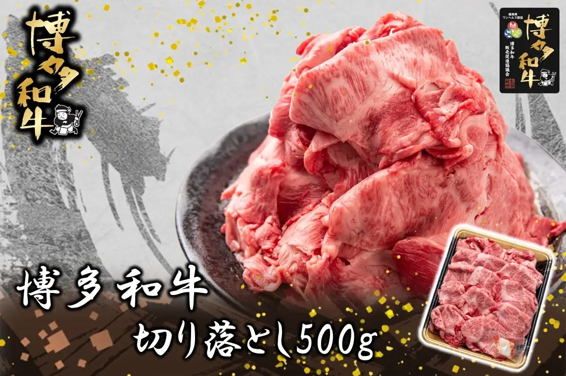 博多和牛 切り落とし500g【JA全農ミートフーズ】[H0193]