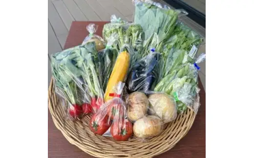 道の駅レスティ唐古・鍵 旬の新鮮野菜8種類以上詰合せ ！！ (野菜8種類以上) 道の駅 奈良県産 季節 詰め合わせ 生鮮食品 旬 新鮮 野菜 奈良県 【tm-BB004】【道の駅レスティ唐古・鍵】