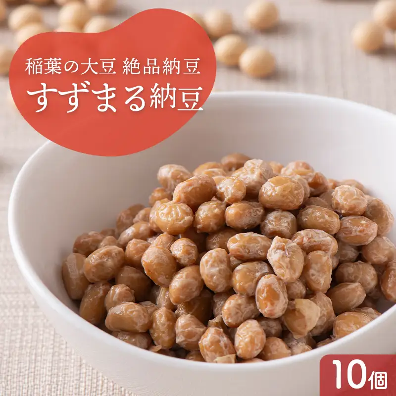 稲葉の絶品納豆 すずまる納豆10個 納豆 発酵食品 大豆食品 ご飯のお供 納豆 加工品 食品 栃木県 足利市 F7Z-1961