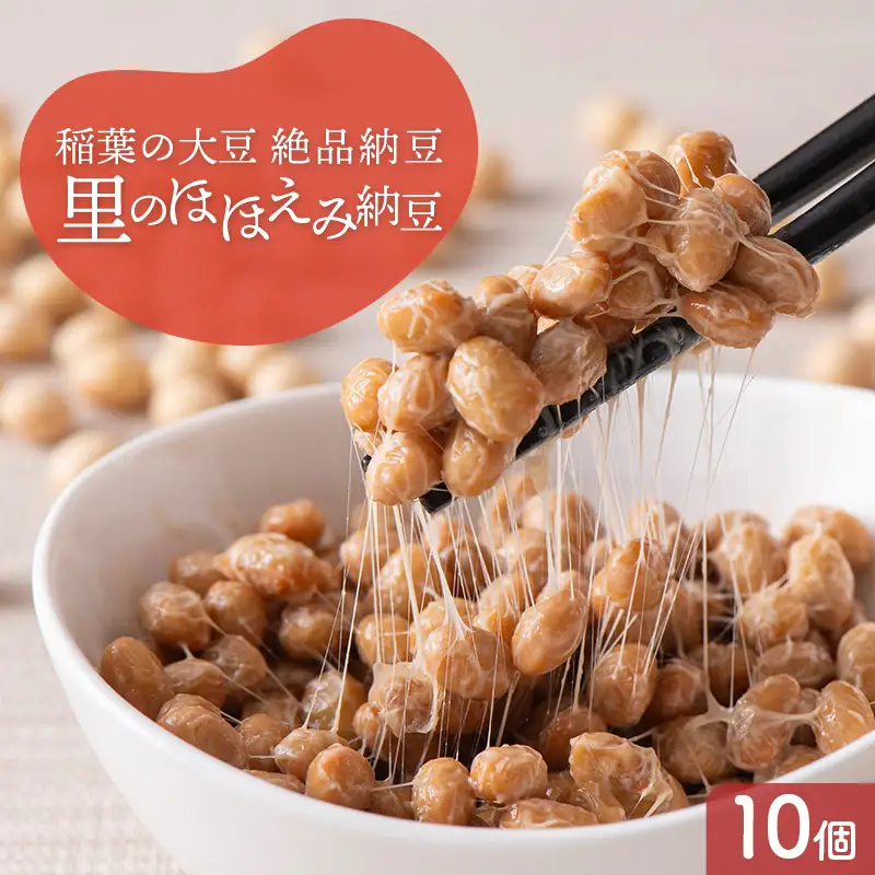 稲葉の絶品納豆 里のほほえみ納豆10個 納豆 発酵食品 大豆食品 ご飯のお供 納豆 加工品 食品 栃木県 足利市 F7Z-1962