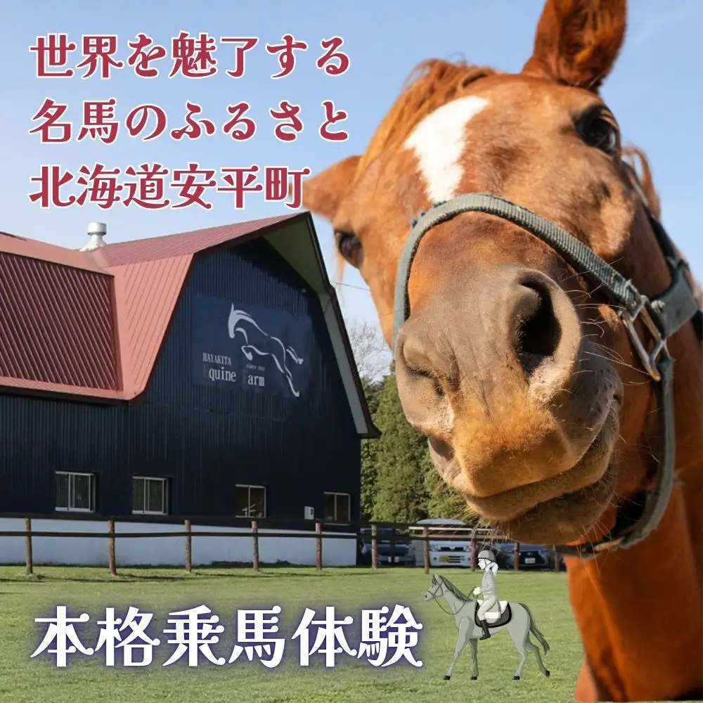 【ふるさと納税】  本格乗馬体験  1回分 北海道安平町〈早来エクワインファーム〉馬 サラブレッド ポニー 競馬 馬術 体験
