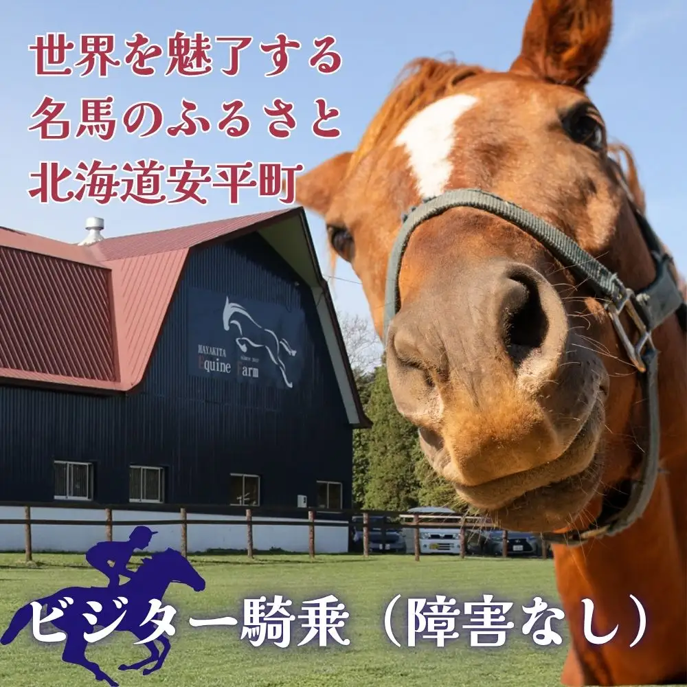 【ふるさと納税】ビジター騎乗 ＜障害なし＞  1回分 北海道安平町〈早来エクワインファーム〉馬 サラブレッド ポニー 競馬 馬術 体験