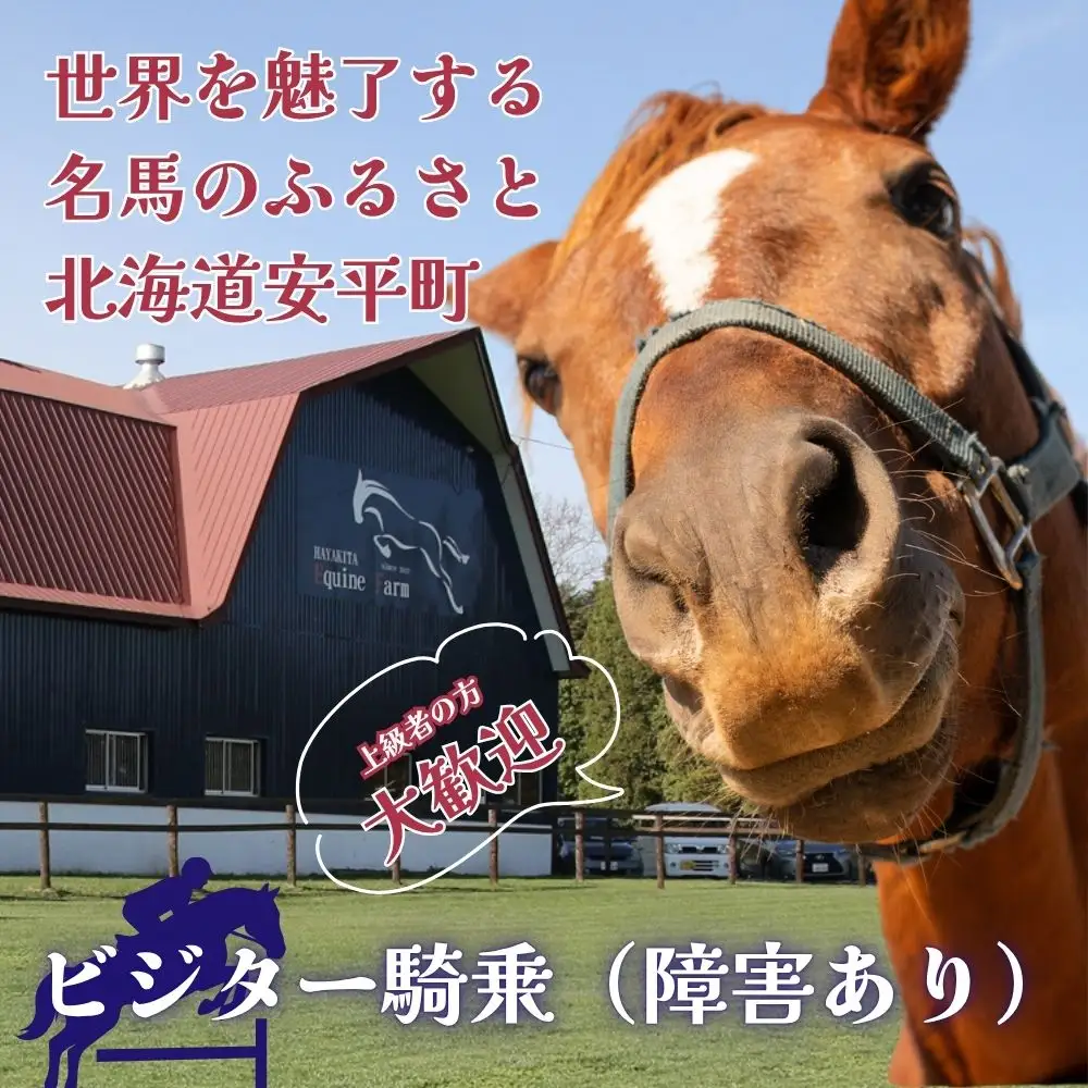【ふるさと納税】ビジター騎乗 ＜障害あり＞  1回分 北海道安平町〈早来エクワインファーム〉馬 サラブレッド ポニー 競馬 馬術 体験