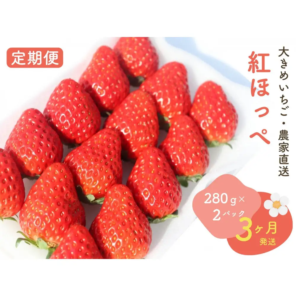 【2027年発送！3か月定期便】大きめいちご「紅ほっぺ」280g×2パック