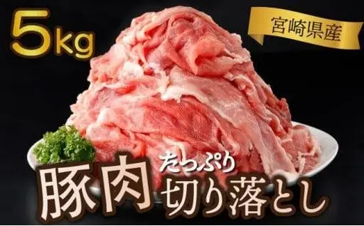 《2026年11月発送》豚肉切り落とし 250g×20パック 合計5kg_K033-030-11