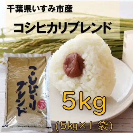 【千葉県いすみ市産】コシヒカリブレンド　精米5kg(5kg×1袋)【1783791】