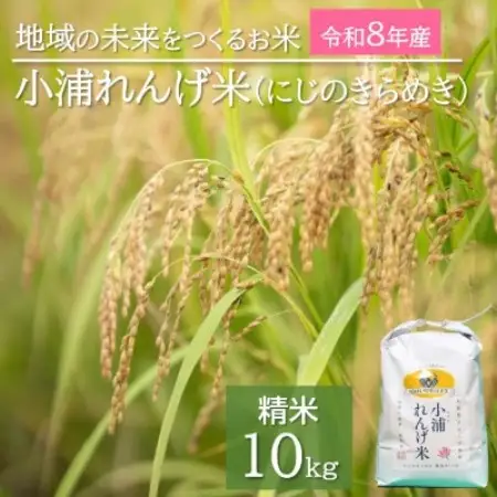 2026年産(令和8年産)新米!小浦れんげ米(にじのきらめき)【精白米】 10kg【1781366】
