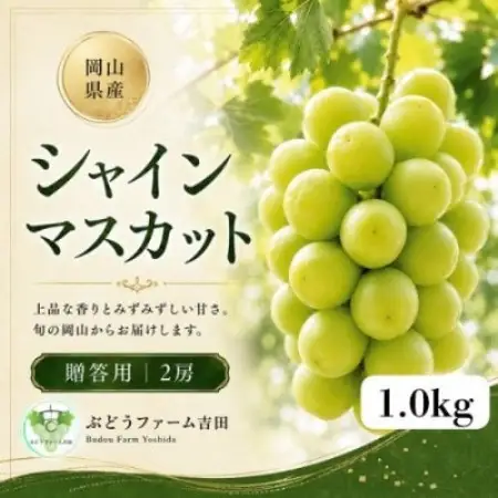 【贈答用】岡山県産シャインマスカット　計1.0kg(2房)【配送不可地域：離島】【1779436】