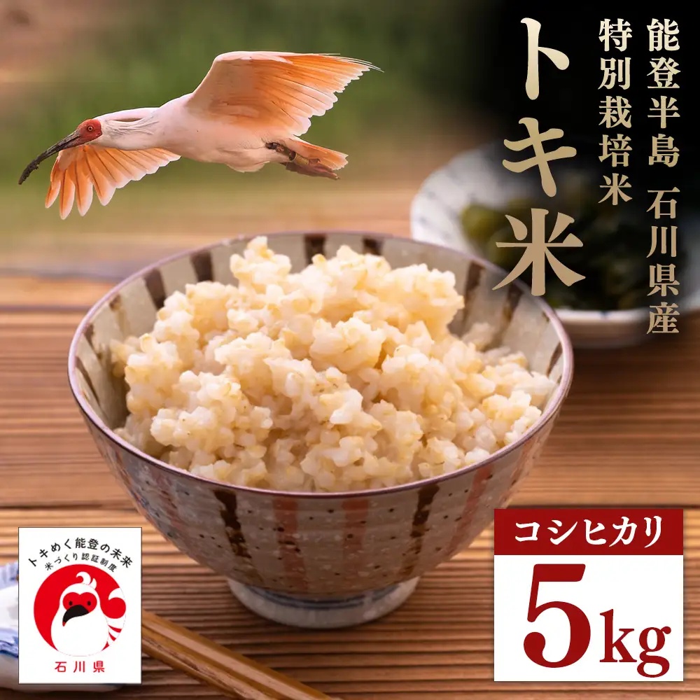 万行希望の丘農園 こしひかり 玄米 5kg｜米 玄米 能登 里山 里海 石川県 七尾市 能登半島