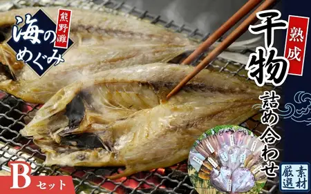 干物 海の恵み 詰め合わせB 干物 ひもの【hatt0002】