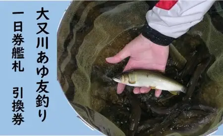 大又川アユ友釣り 一日券鑑札 引換券【oomg0002】