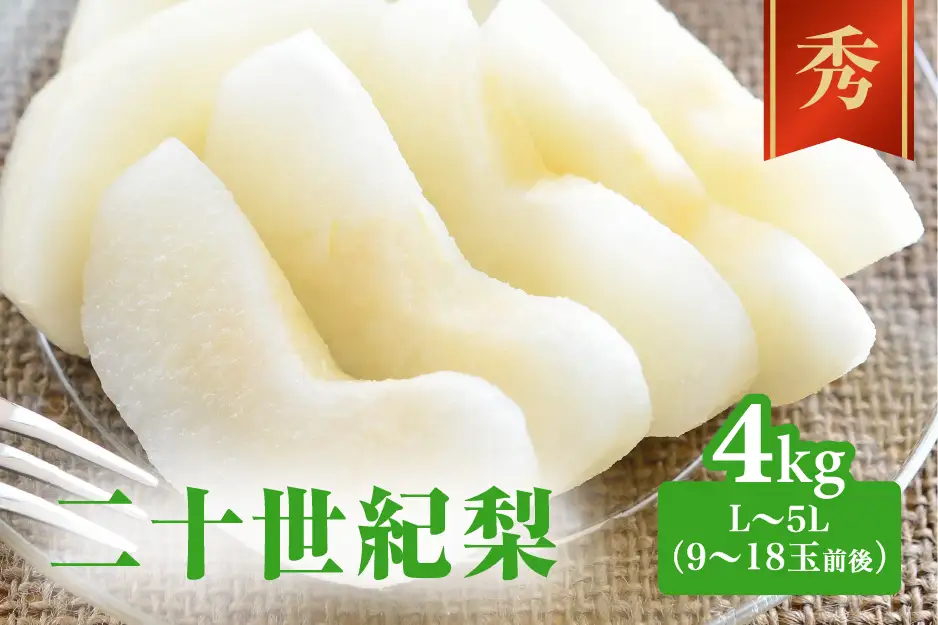 【令和9年産先行予約】二十世紀梨 秀 4kg L～5L (9～18玉前後) 梨 なし フルーツ 鳥取 高間商店 日野町