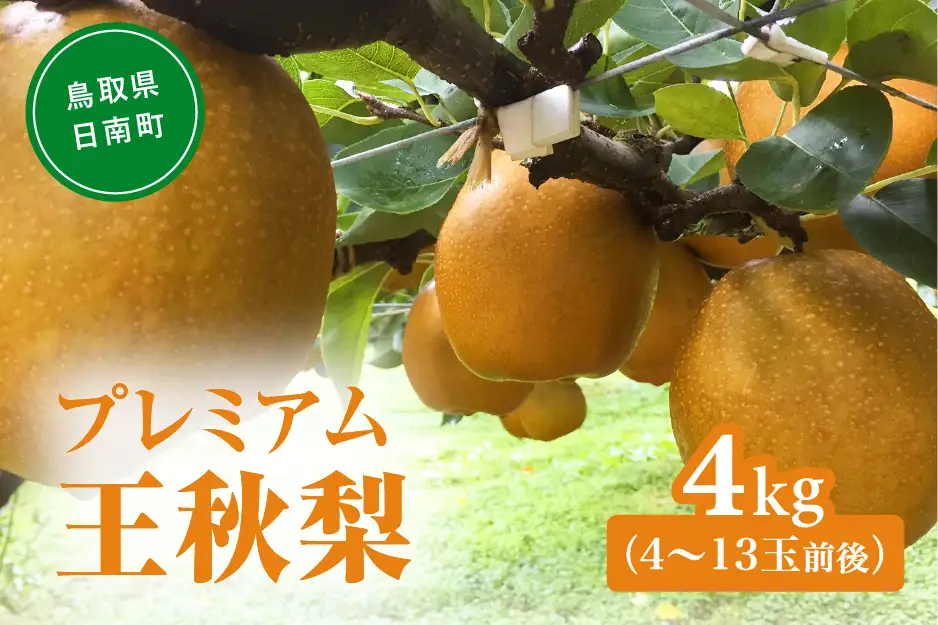 プレミアム王秋梨 4kg(4～13玉前後) 梨 なし 果物 フルーツ 日南町 高間商店