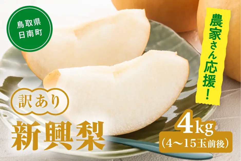 農家さん応援！訳あり 新興梨（しんこうなし） 4kg(4～15玉前後) 梨 なし 果物 フルーツ 日南町 高間商店