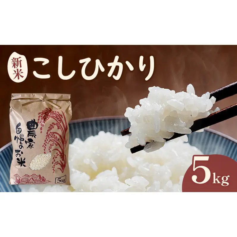 米 こしひかり5キロ(令和8年産) 若狭・天狗山農園 お米 こめ コメ 精米 ご飯 ごはん コシヒカリ 福井県 若狭町