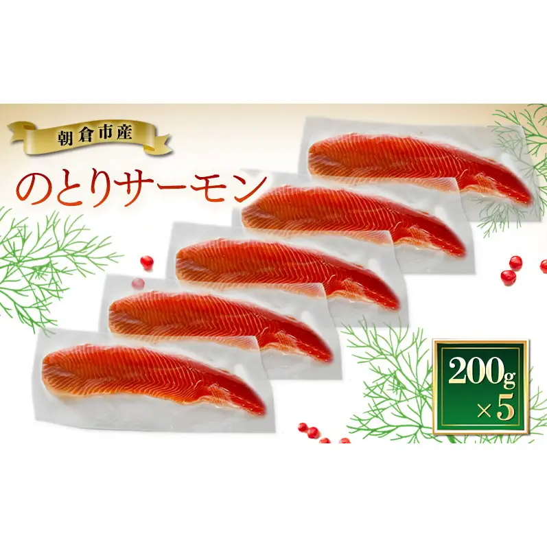 サーモン 朝倉市産 のとりサーモン 200g×5 魚 冷凍 ※配送不可:離島