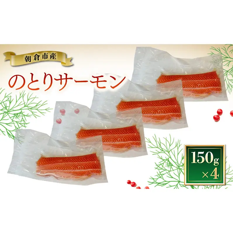 サーモン 朝倉市産 のとりサーモン 150g×4 魚 冷凍 ※配送不可:離島