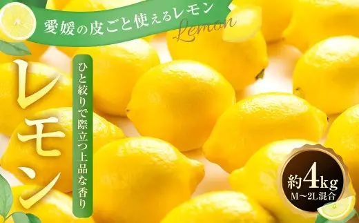 【 ひと搾りで際立つ上質な香り 】 レモン 約4kg  料理 調理  国産 フルーツ 果物 国産レモン 【 2027年1月上旬‐4月下旬発送予定 】  ( 1175-1 )