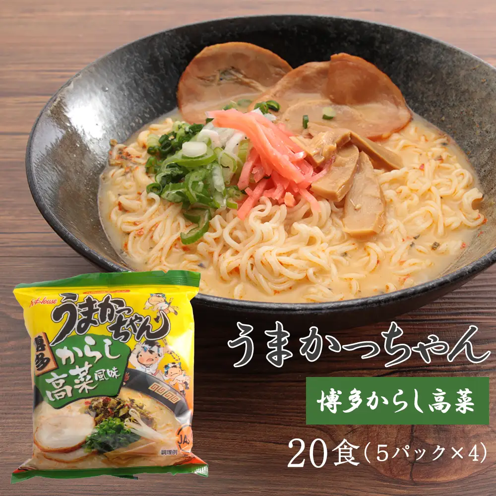 豚骨ラーメン うまかっちゃん 博多辛子高菜 20食(5パック×4)[H0236]