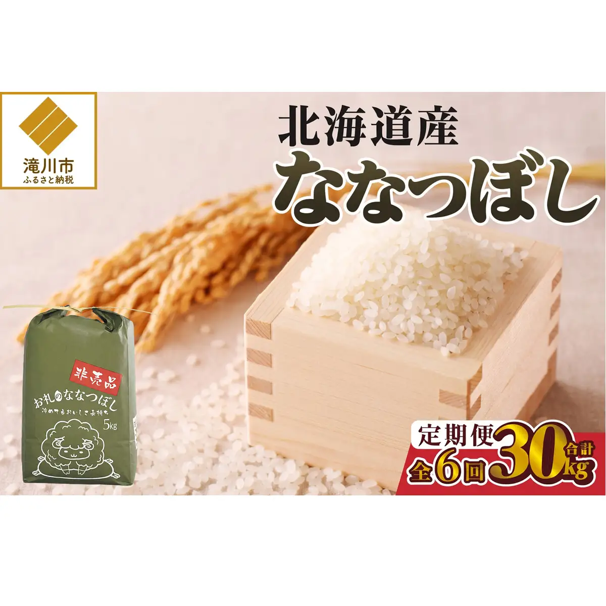 《令和8年産新米》6ヵ月連続お届け!ななつぼし5kg 特A 銘柄 ブランド米 精米 北海道 定期便 道産 お弁当 滝川市