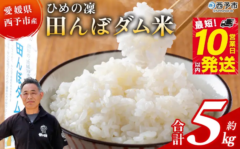 ＜令和8年産 愛媛県西予市産 ひめの凜 田んぼダム米 約5kg＞※最短10営業日以内に順次発送予定 特産品 キロ ひめのりん 西予応援米 宇和米 お米 コメ こめ 白米 精米 米 国産 愛媛県産 和みファーム 愛媛県 西予市【常温】UWN0007