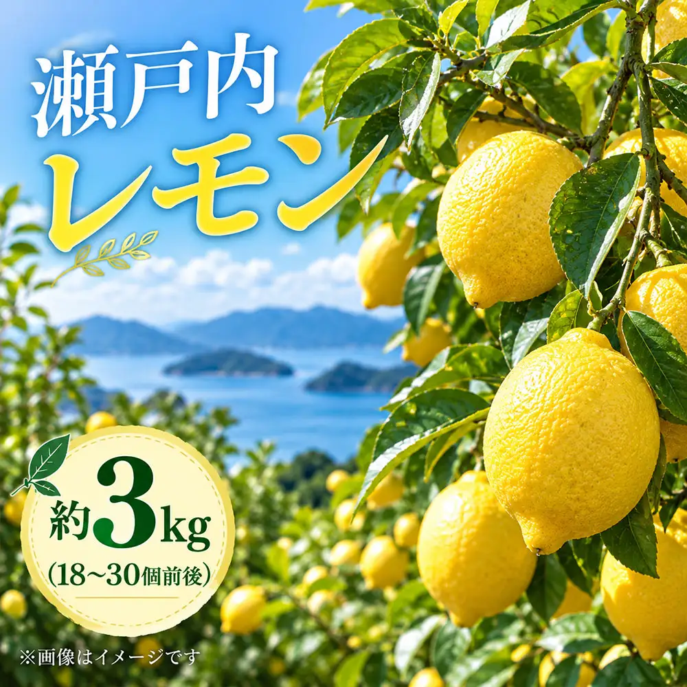 瀬戸内レモン 約3kg | 香川県三豊市 | ふるさと納税サイト「ふるなび」