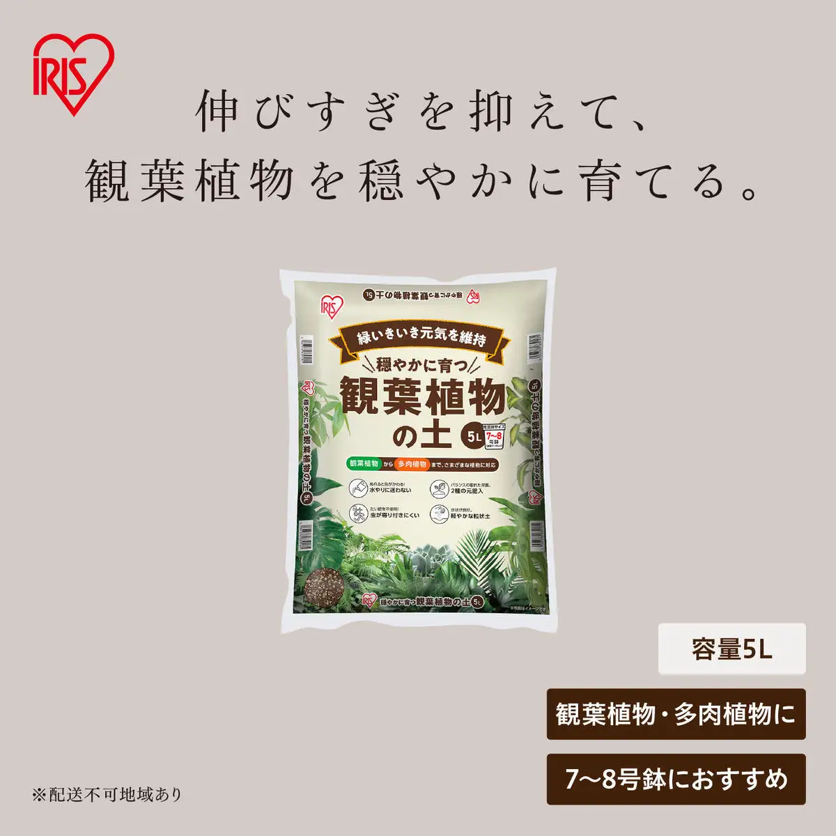 穏やかに育つ観葉植物の土 5L IHPC-5L | 宮城県大河原町 | ふるさと