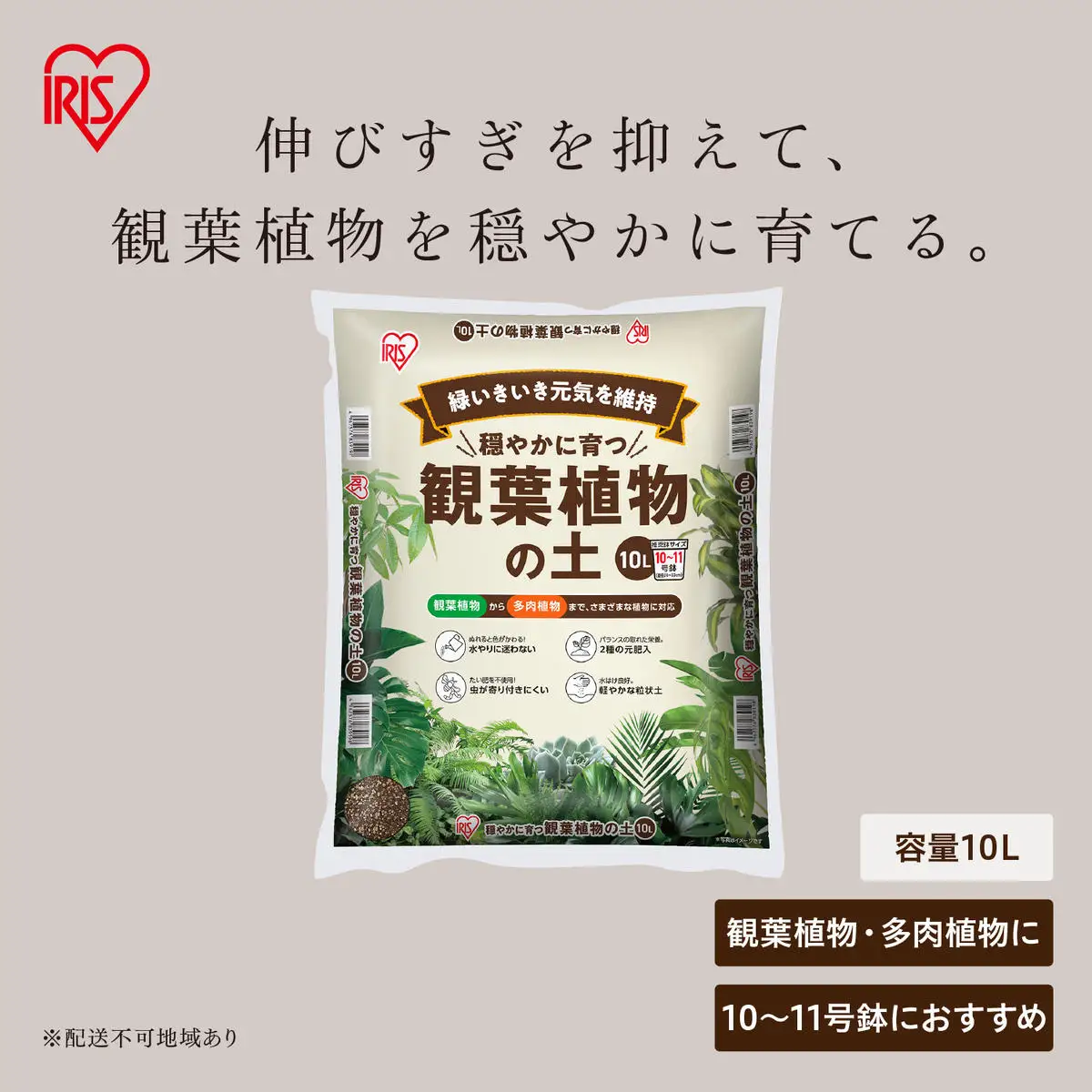 穏やかに育つ観葉植物の土 10L IHPC-10L | 宮城県大河原町 | ふるさと