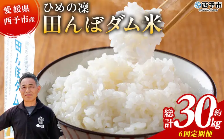 ＜令和8年産 愛媛県西予市産 ひめの凜 田んぼダム米 約5kg（定期便6回）＞『入金確認後、お申込み月の翌月より配送を開始します』 特産品 キロ ひめのりん 西予応援米 宇和米 お米 コメ こめ 白米 精米 米 国産 愛媛県産 和みファーム 愛媛県 西予市【常温】UWN0009