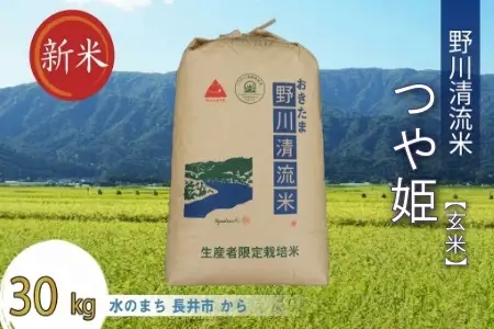【令和8年産新米】【特別栽培米】【玄米】野川清流米「つや姫」30kg(30kg×1袋)_A198(R8)