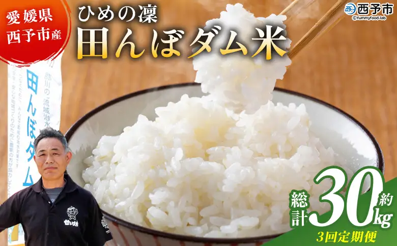 ＜令和8年産 愛媛県西予市産 ひめの凜 田んぼダム米 約10kg（定期便3回）＞『入金確認後、お申込み月の翌月より配送を開始します』 特産品 キロ ひめのりん 西予応援米 宇和米 お米 コメ こめ 白米 精米 米 国産 愛媛県産 和みファーム 愛媛県 西予市【常温】UWN0011