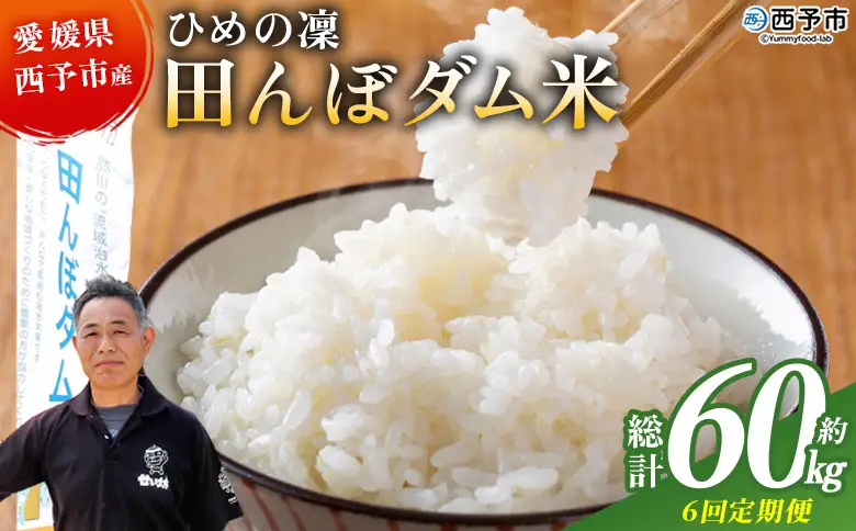 ＜令和8年産 愛媛県西予市産 ひめの凜 田んぼダム米 約10kg（定期便6回）＞『入金確認後、お申込み月の翌月より配送を開始します』 特産品 キロ ひめのりん 西予応援米 宇和米 お米 コメ こめ 白米 精米 米 国産 愛媛県産 和みファーム 愛媛県 西予市【常温】UWN0012