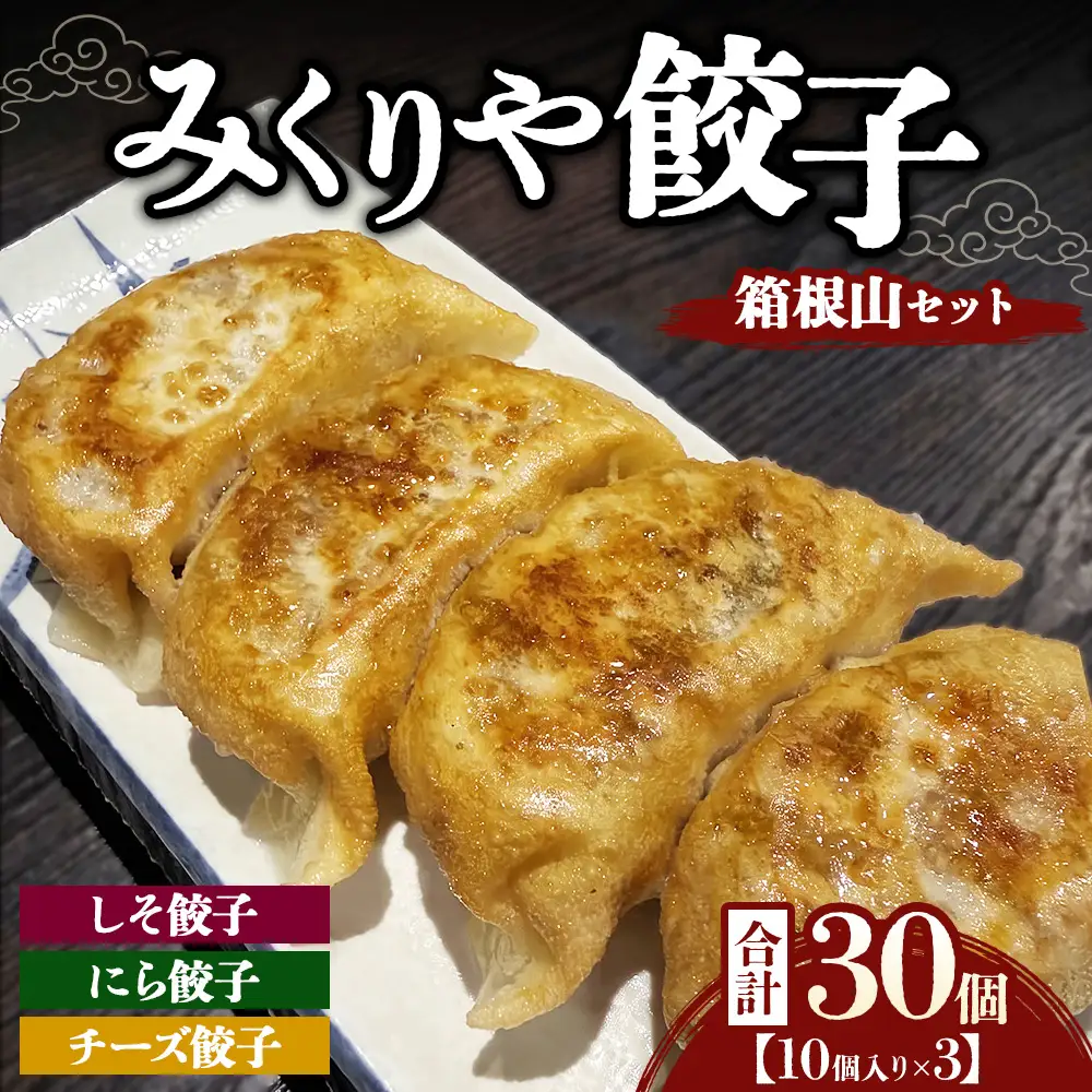 みくりや餃子 箱根山セット 小（10個入り×3） | 食べ比べ 詰め合わせ