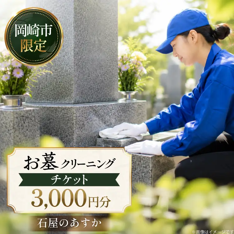 チケット お墓 クリーニング 3000円分