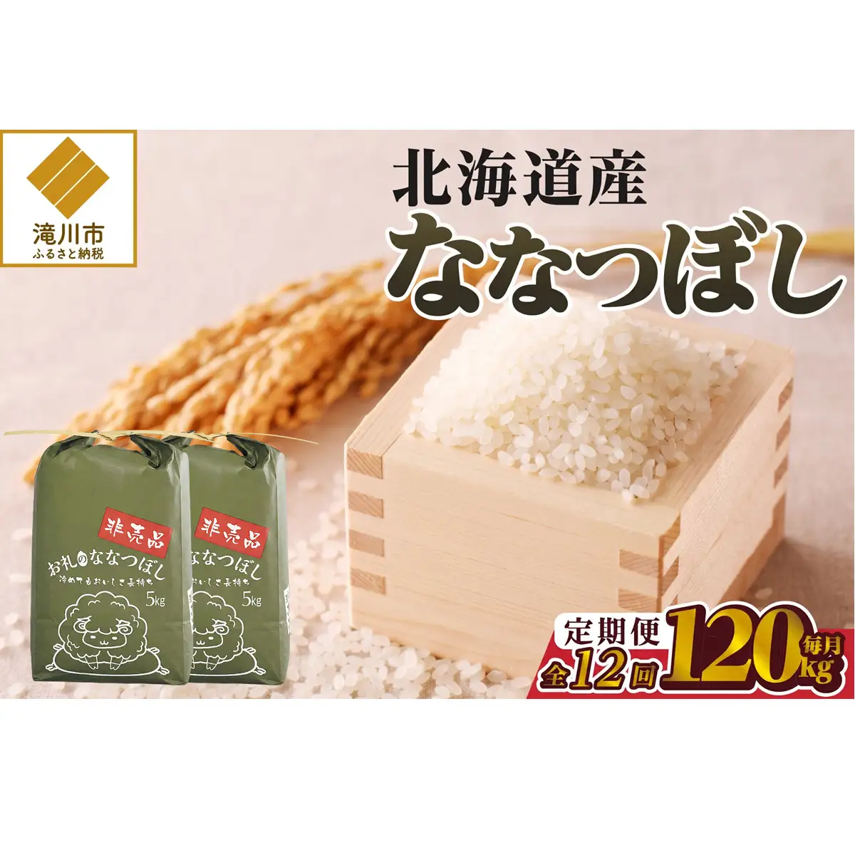 《令和8年産新米》12ヵ月連続お届け!ななつぼし10kg 特A 銘柄 ブランド米 北海道 定期便 精米 道産 お弁当 滝川市