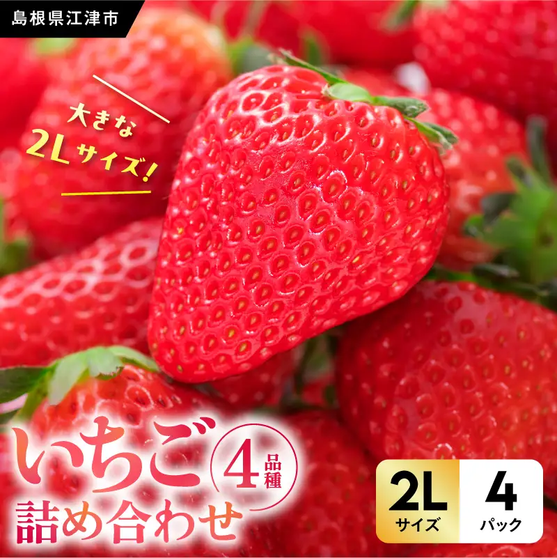 【いちご様】専用・赤/緑、各360ｇ≪リクエスト特割特価≫ 先行予約】 完熟 朝採り イチゴ 品種おまかせ （2L以上） 4パック