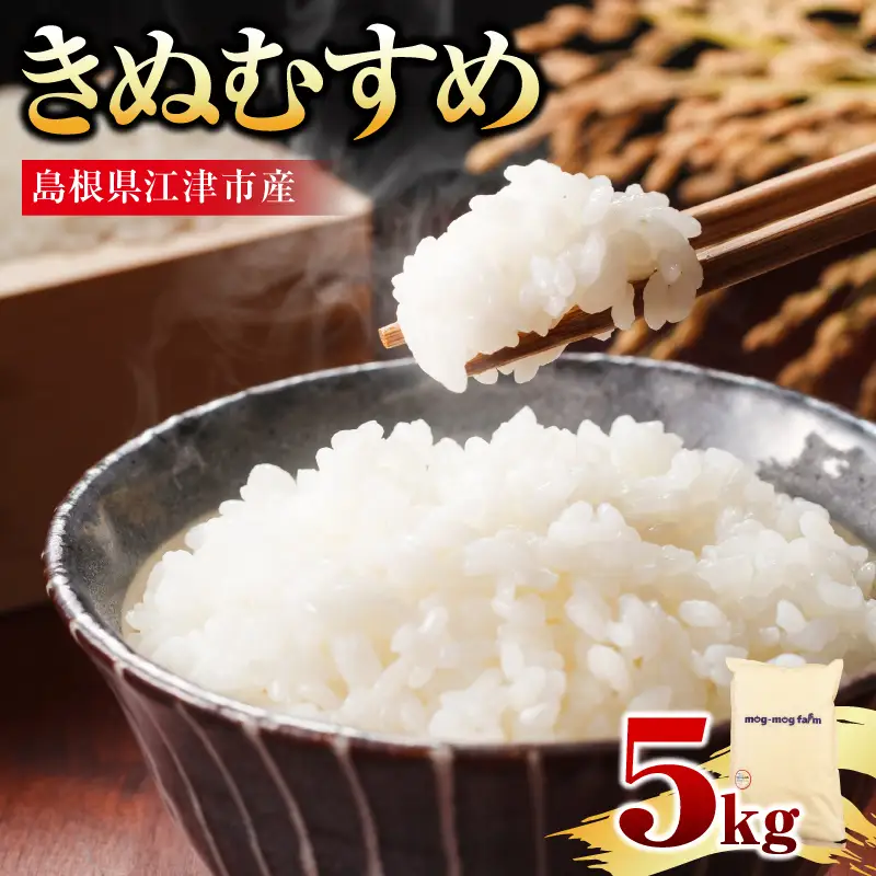先行予約】【R8年度産】島根県江津市 きぬむすめ 白米 5kg ※発送直前
