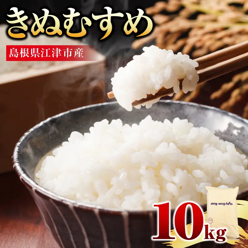 【先行予約】【R8年度産】島根県江津市 きぬむすめ 白米 10kg ※発送直前精米※ MG-4 新米 お米
